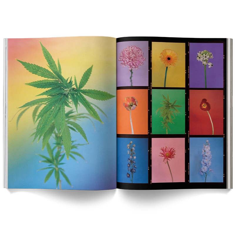 A Weed Is A Flower Coffee Table Book