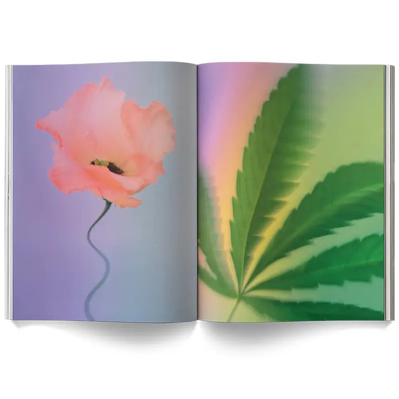 A Weed Is A Flower Coffee Table Book