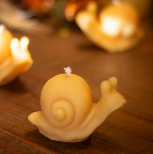 Snail Beeswax Candle