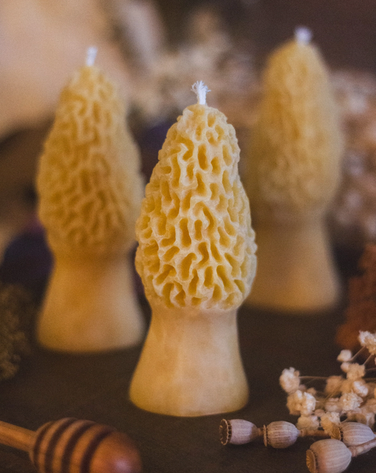 Morel Mushroom Beeswax Candle