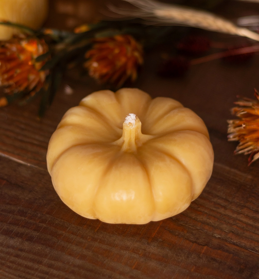 Pumpkin Beeswax Candle