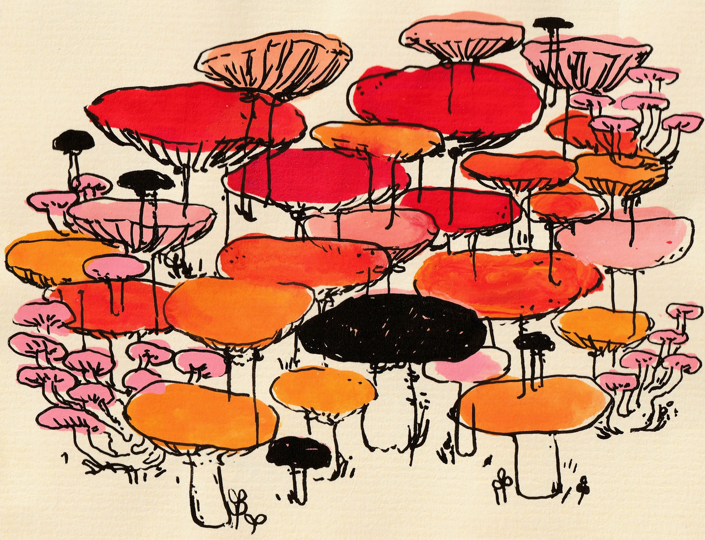 Print - "Mushrooms in Red, Orange, and Pink" 8x6 inches