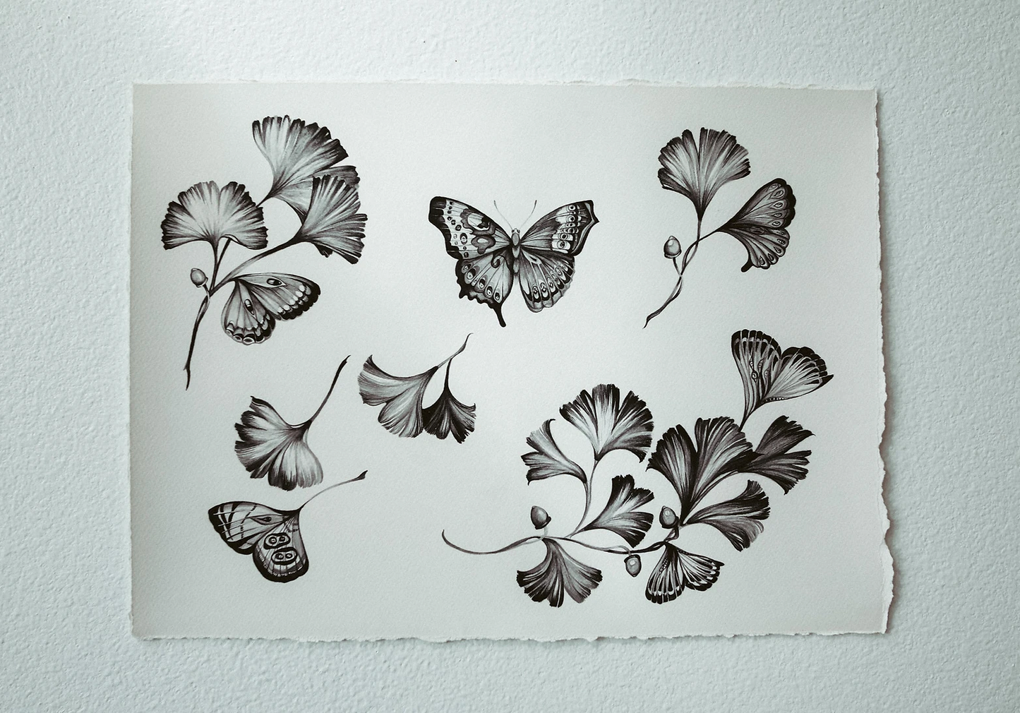 Ginkgo & Butterfly Wings