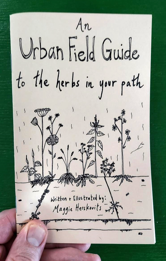 Urban Field Guide To the Herbs in Your Path (Zine)