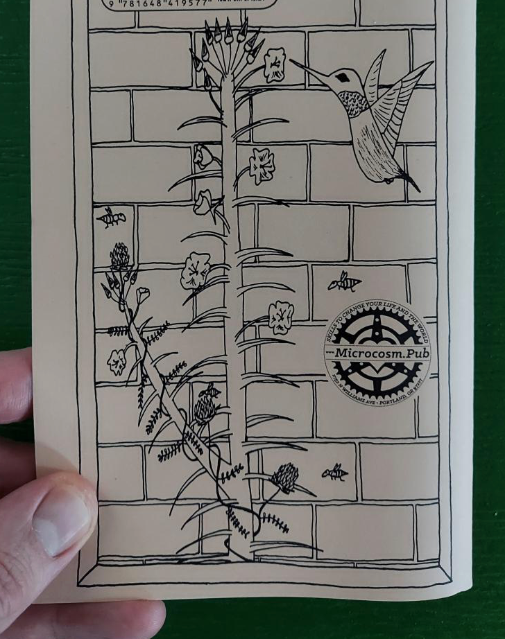 Urban Field Guide To the Herbs in Your Path (Zine)